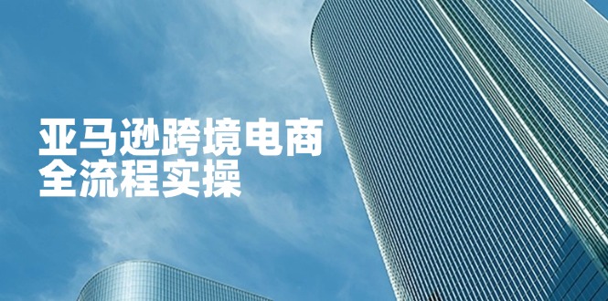(14252期)亚马逊跨境电商全流程实操,教你从零开始,掌握店铺运营与广告技巧-青年云网创—高质量项目商城