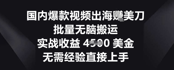 国内爆款视频出海挣美刀,批量无脑搬运,实战收益4.5k,无需经验直接上手-青年云网创—高质量项目商城