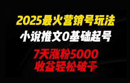 2025最火营销号玩法：小说推文0基础起号，7天涨粉5000，收益轻松破k-青年云网创—高质量项目商城